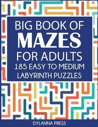 bokomslag Big Book of Mazes for Adults