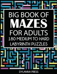 bokomslag Big Book of Mazes for Adults