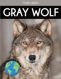 bokomslag Gray Wolf