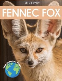 bokomslag Fennec Fox