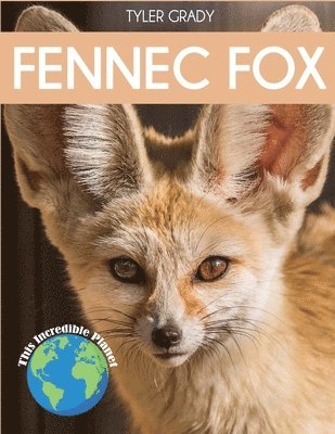 Fennec Fox 1