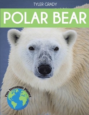 Polar Bear 1