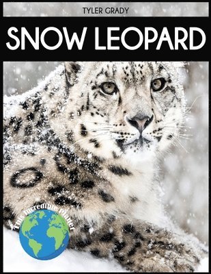 bokomslag Snow Leopard