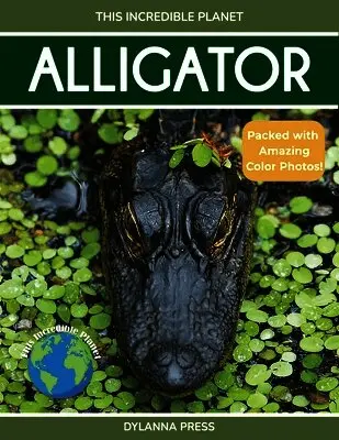 Dylanna Press - Alligator, Häftad. Tillgänglighet: Lägg i varukorg