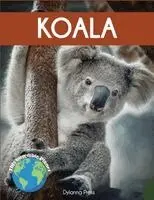 Dylanna Press - Koala, Häftad. Tillgänglighet: Lägg i varukorg