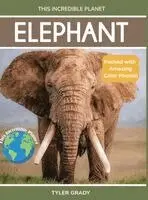 Tyler Grady - Elephant, Inbunden. Tillgänglighet: Lägg i varukorg