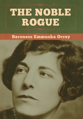 bokomslag Noble Rogue
