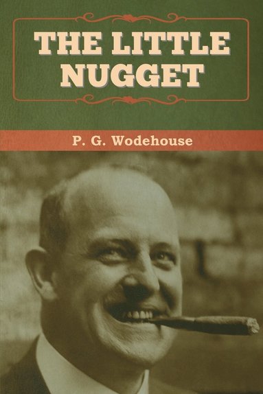 bokomslag Little Nugget