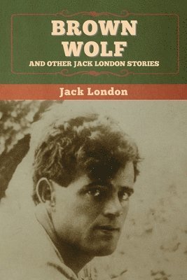 bokomslag Brown Wolf and Other Jack London Stories