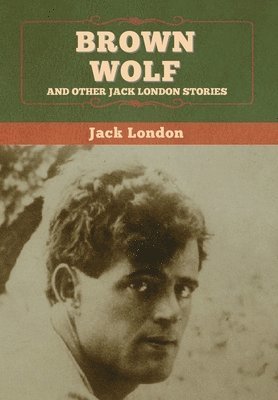 bokomslag Brown Wolf and Other Jack London Stories