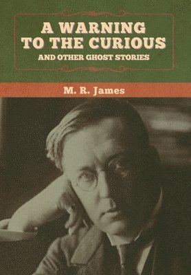 bokomslag warning to the curious and other ghost stories