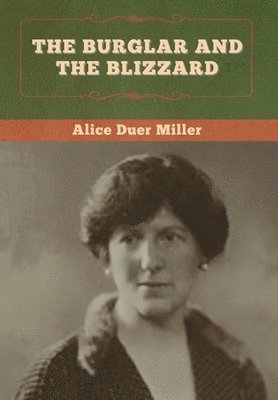 bokomslag Burglar and the Blizzard