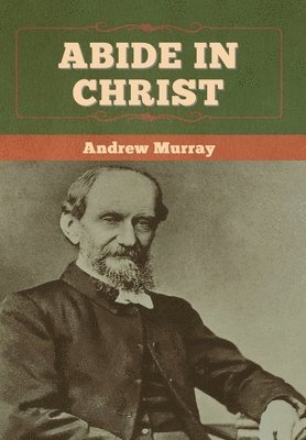 bokomslag Abide In Christ