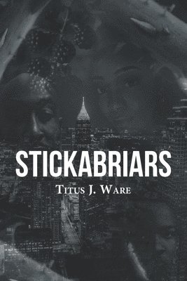 Stickabriars 1