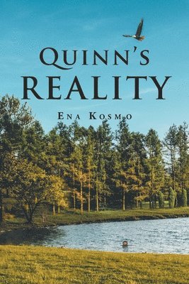 bokomslag Quinn's Reality