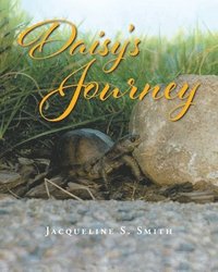 bokomslag Daisy's Journey