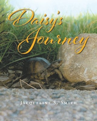 Daisy's Journey 1