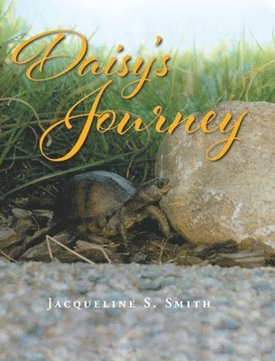 Daisy's Journey 1