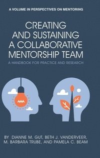 bokomslag Creating and Sustaining a Collaborative Mentorship Team