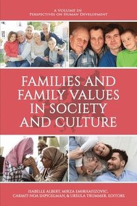 bokomslag Families and Family Values in Society and Culture