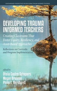 bokomslag Developing Trauma Informed Teachers