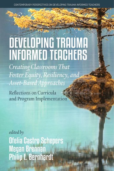 bokomslag Developing Trauma Informed Teachers