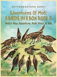 bokomslag Adventures Of Moti A Birdie In A Box Book 6