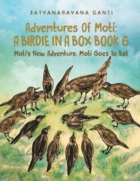 bokomslag Adventures Of Moti A Birdie In A Box Book 6