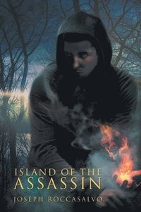 bokomslag Island of The Assassin