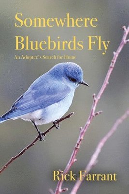bokomslag Somewhere Bluebirds Fly