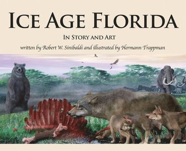 bokomslag Ice Age Florida