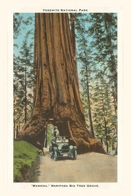 bokomslag The Vintage Journal Wawona, Mariposa Big Tree Grove, Yosemite, California