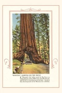 bokomslag The Vintage Journal Wawona, Mariposa Big Tree Grove