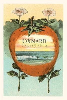 The Vintage Journal Strawberry with Ocean Scene Inside, Oxnard, California 1