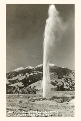 The Vintage Journal Geyser near Calistoga, California 1