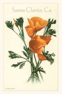 bokomslag The Vintage Journal California Poppy, Santa Clarita