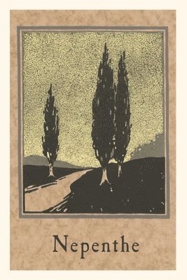 bokomslag Vintage Journal Cypresses, Nepenthe, California