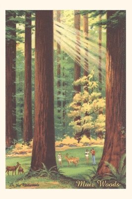 bokomslag The Vintage Journal Bucolic Scene, Muir Woods, California