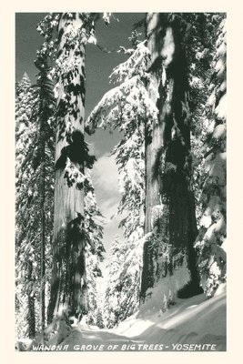 bokomslag Vintage Journal Wawona Grove of Big Trees, Yosemite