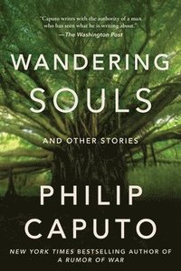 bokomslag Wandering Souls: And Other Stories