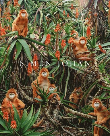 bokomslag Simen Johan