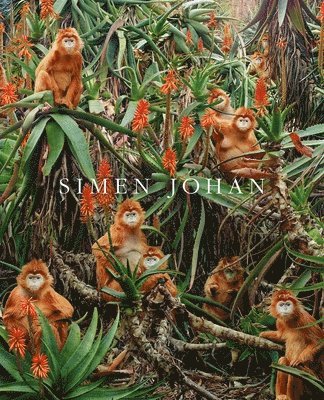 Simen Johan - Simen Johan, Inbunden