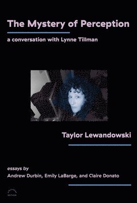 The Mystery of Perception: A Conversation with Lynne Tillman 1