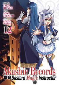 bokomslag Akashic Records of Bastard Magic Instructor Vol. 12