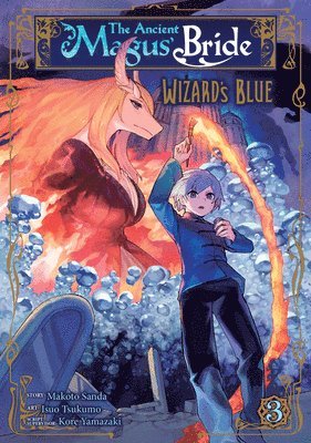 bokomslag The Ancient Magus' Bride: Wizard's Blue Vol. 3