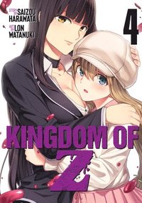 bokomslag Kingdom of Z Vol. 4