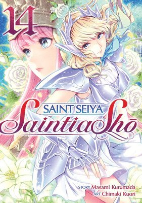 bokomslag Saint Seiya: Saintia Sho Vol. 14