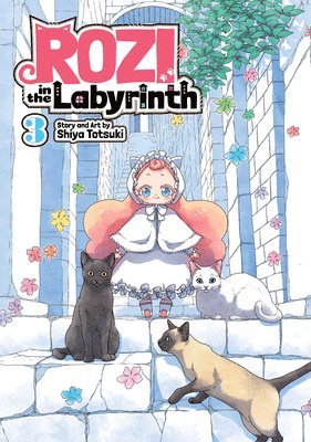 Rozi in the Labyrinth Vol. 3 1