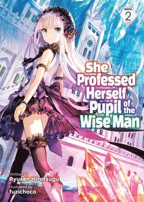 bokomslag She Professed Herself Pupil of the Wise Man (Light Novel) Vol. 2