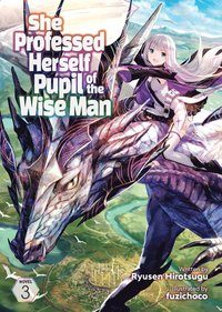 bokomslag She Professed Herself Pupil of the Wise Man (Light Novel) Vol. 3